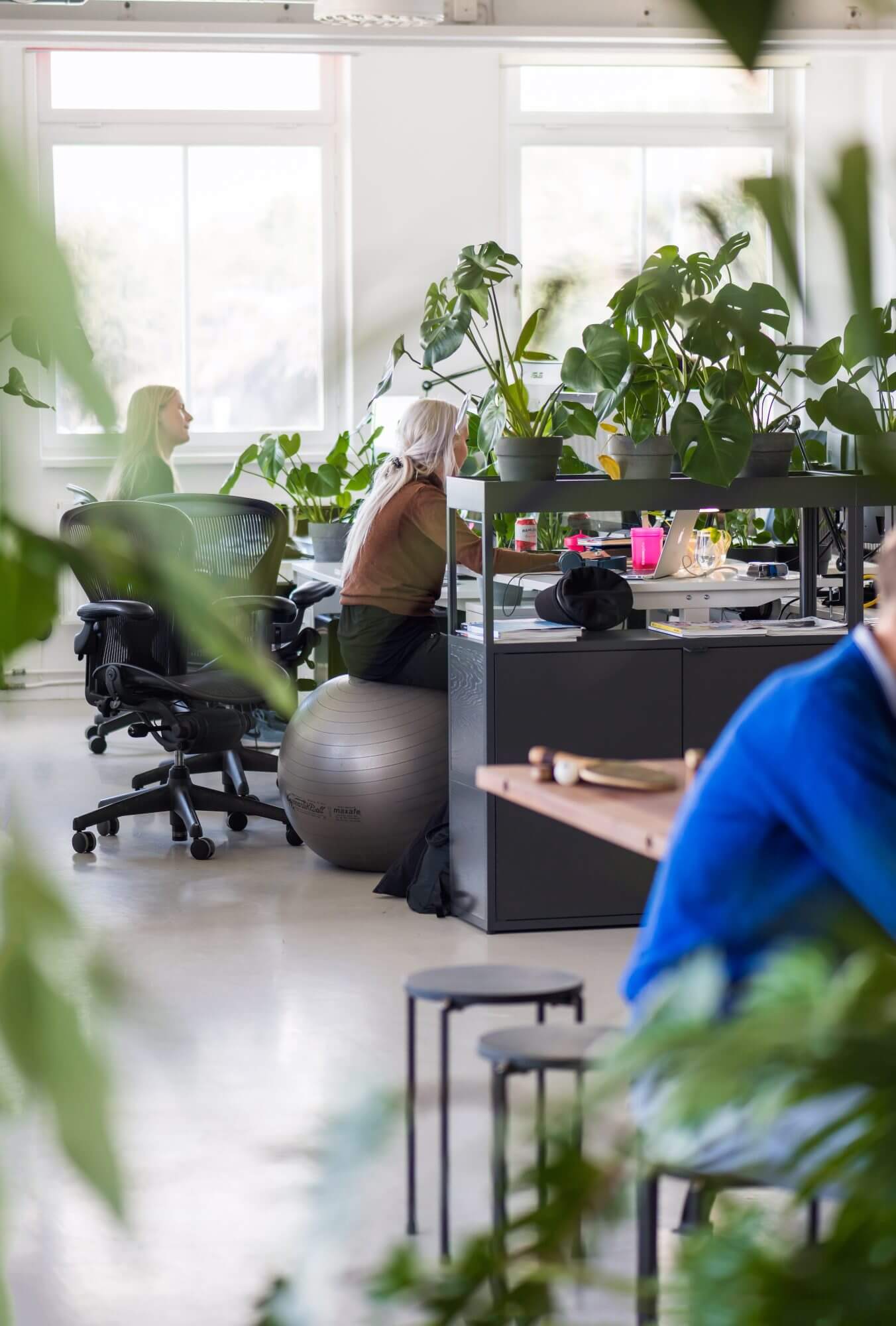 Natural open landscape.